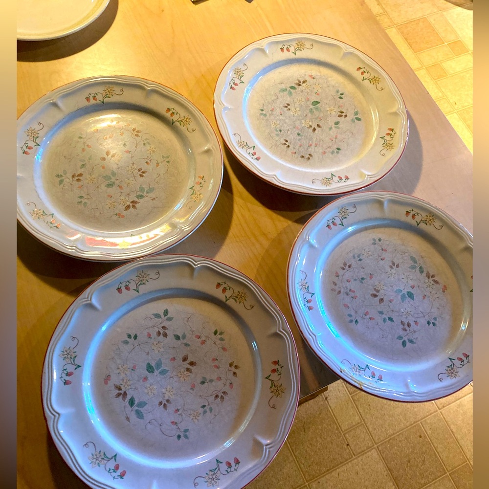 Set of four STW-20 strawberry field stoneware design concepts plates